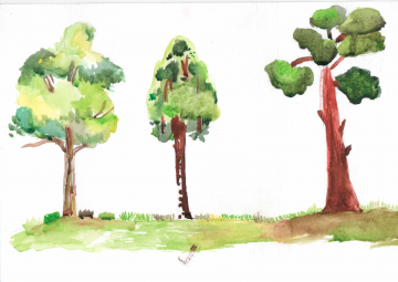 Reňk bilen surat çekmek