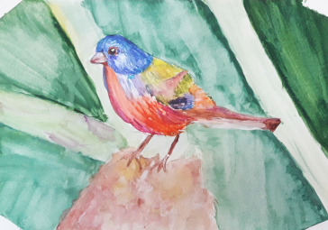 Reňkli galam bilen çekilen surat