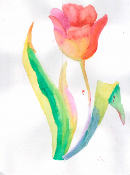 Reňk bilen surat çekmek